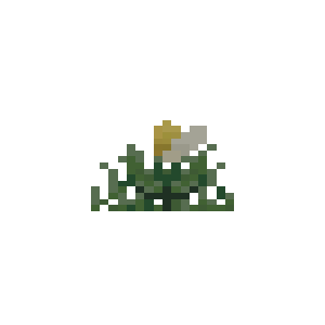 Hipokute Flower
