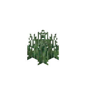 Hipokute Grass