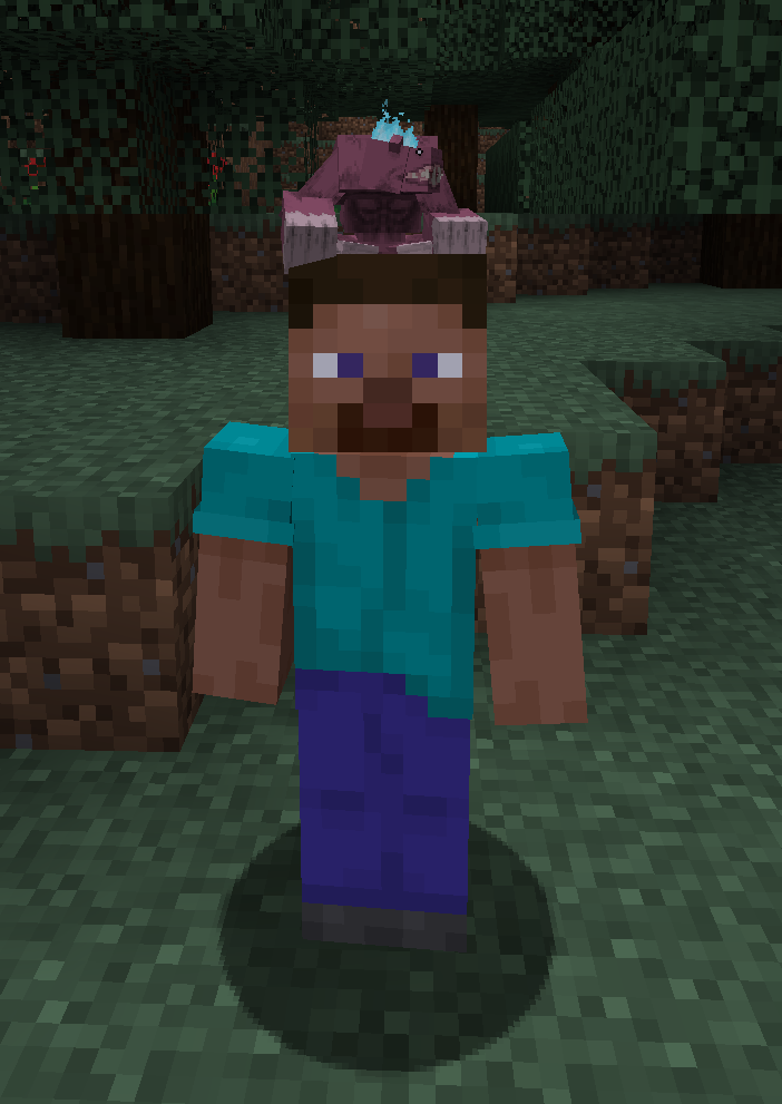 Beast Gnome riding a player